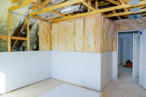 Best Cellulose Insulation  in Lochearn, MD