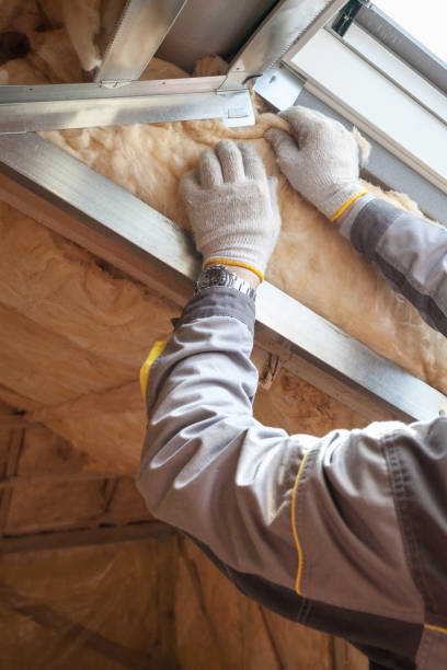 Best Insulation Contractors for Homes  in Lochearn, MD