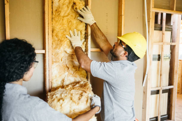 Best Spray Foam Insulation  in Lochearn, MD