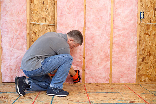 Best Insulation for New Construction  in Lochearn, MD