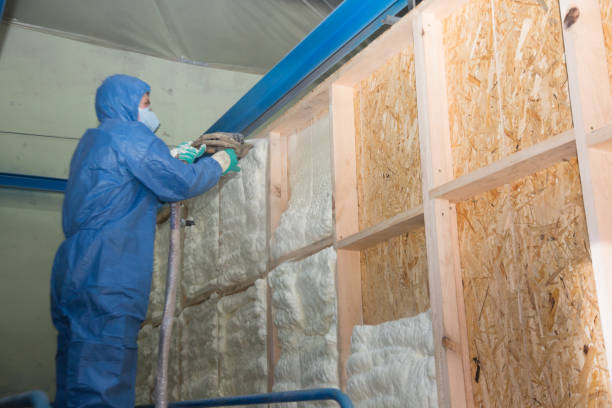 Best Attic Insulation Installation  in Lochearn, MD