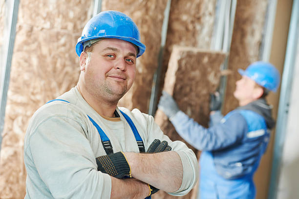 Best Professional Insulation Contractor  in Lochearn, MD